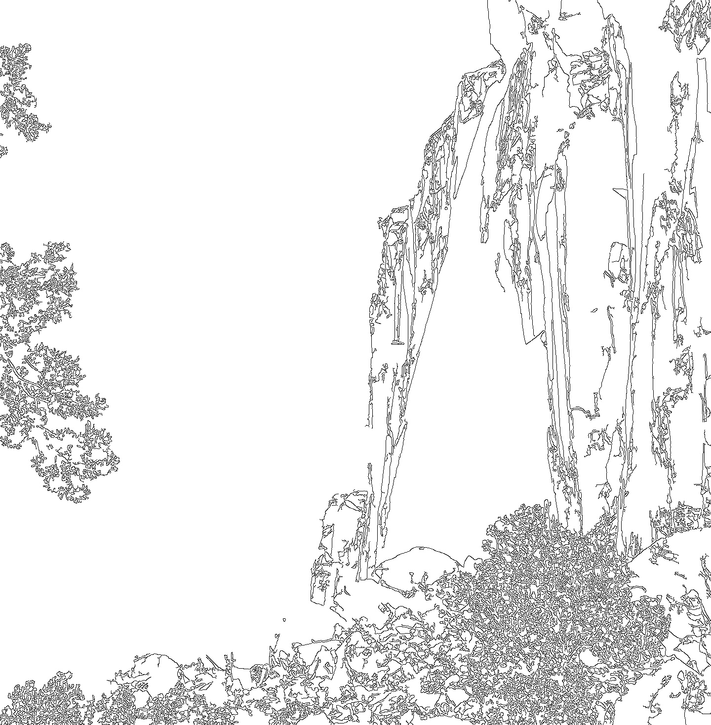 Black and white image showing the edges detected in the photograph by an edge detection algorithm.