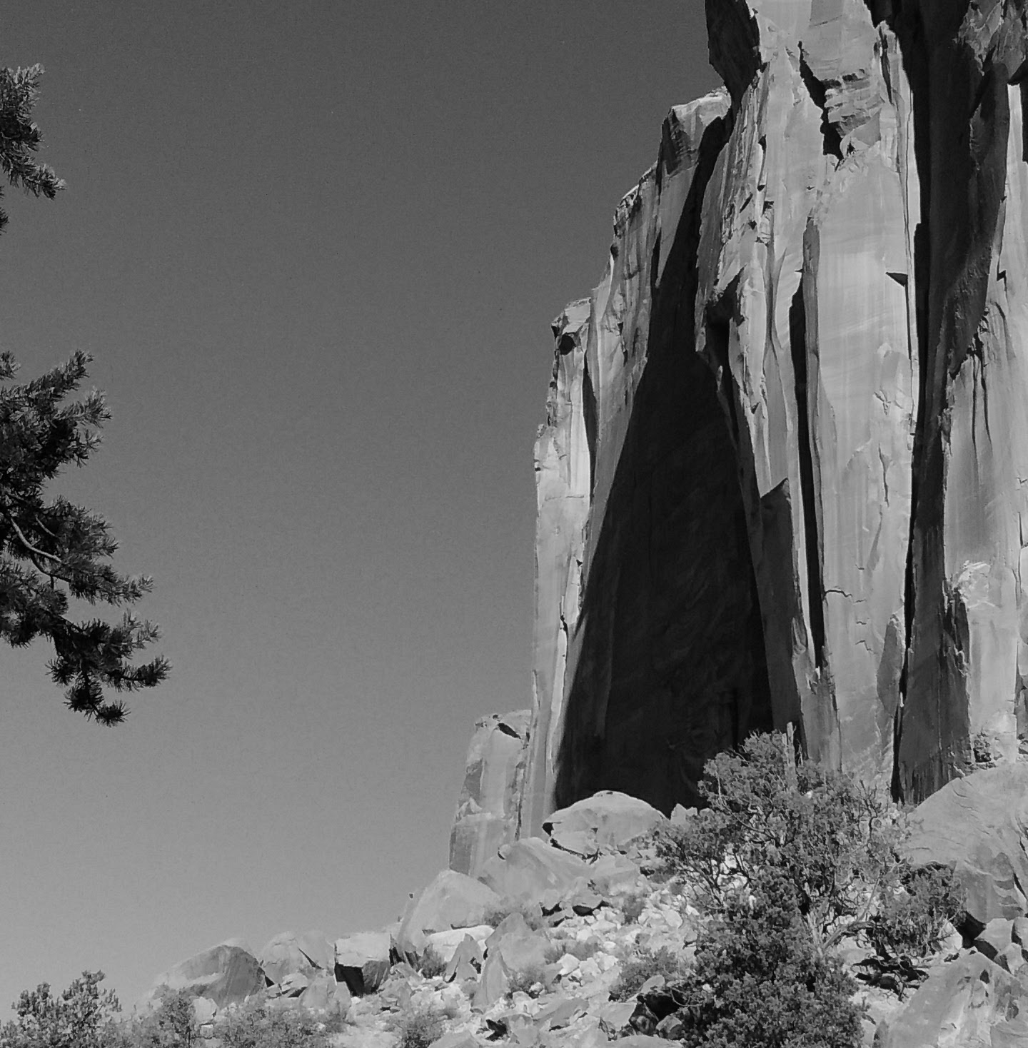 The same photograph with only the luminance values of each pixel displayed.