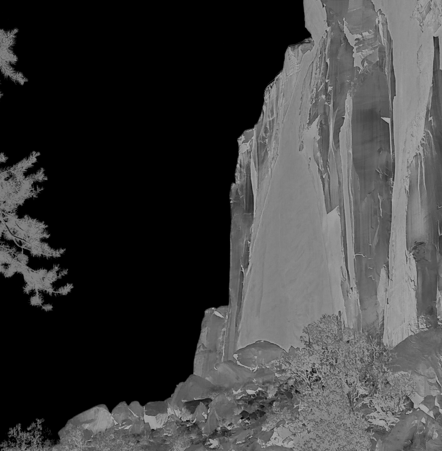 The same photograph with only the red chrominance displayed.
